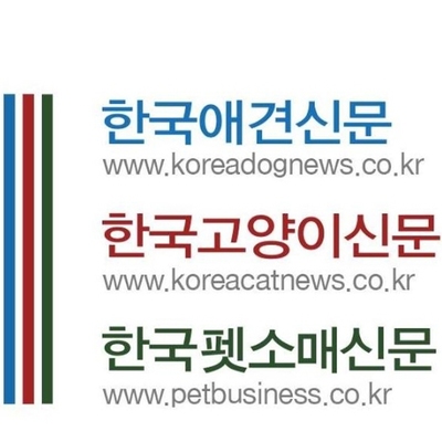 한국고양이신문